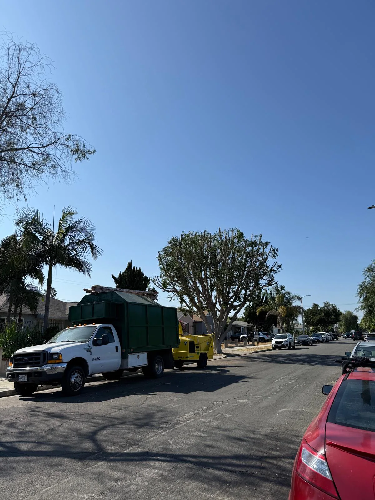 Palms done and the chipper truck loaded up